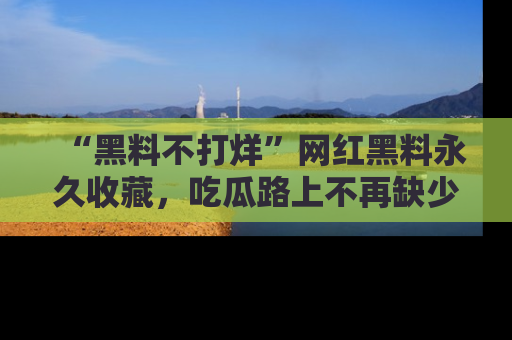 “黑料不打烊”网红黑料永久收藏，吃瓜路上不再缺少惊喜与乐趣