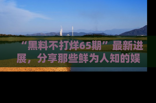 “黑料不打烊65期”最新进展,分享那些鲜为人知的娱乐八卦