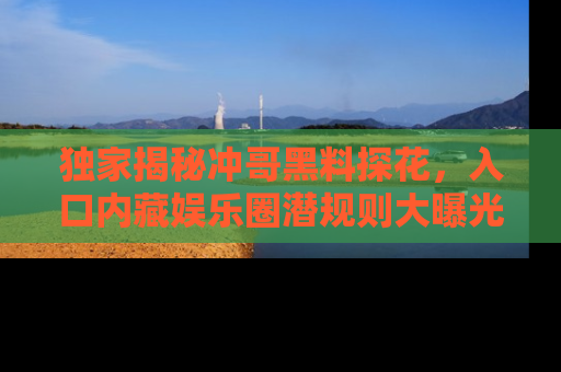 独家揭秘冲哥黑料探花，入口内藏娱乐圈潜规则大曝光