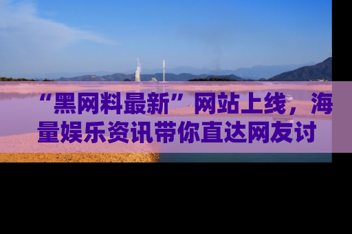 “黑网料最新”网站上线,海量娱乐资讯带你直达网友讨论的中心!