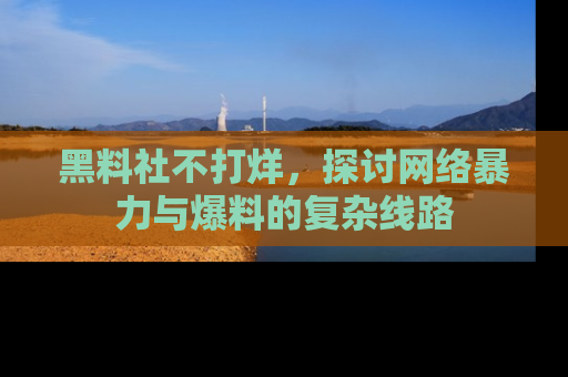 黑料社不打烊，探讨网络暴力与爆料的复杂线路