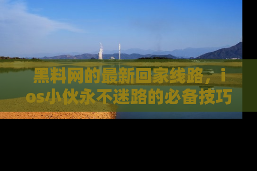 黑料网的最新回家线路，ios小伙永不迷路的必备技巧！