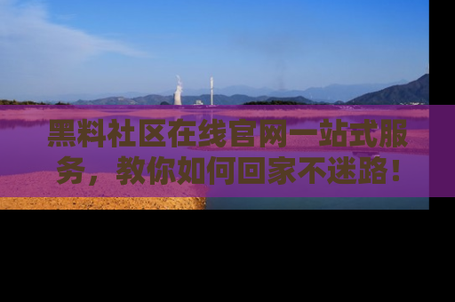 黑料社区在线官网一站式服务，教你如何回家不迷路！