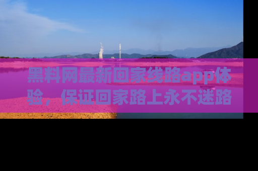 黑料网最新回家线路app体验，保证回家路上永不迷路顺畅