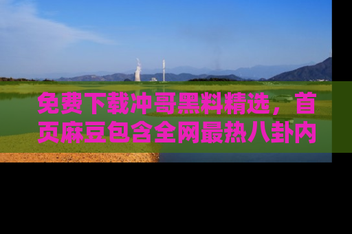 免费下载冲哥黑料精选,首页麻豆包含全网最热八卦内容