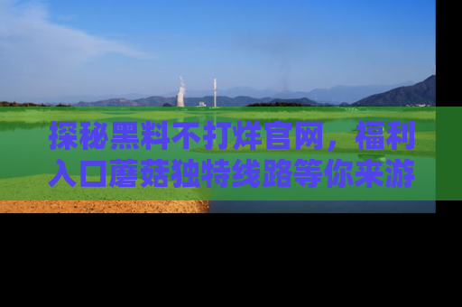 探秘黑料不打烊官网，福利入口蘑菇独特线路等你来游玩！
