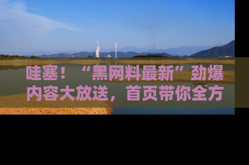 哇塞！“黑网料最新”劲爆内容大放送，首页带你全方位了解哦，小可爱们