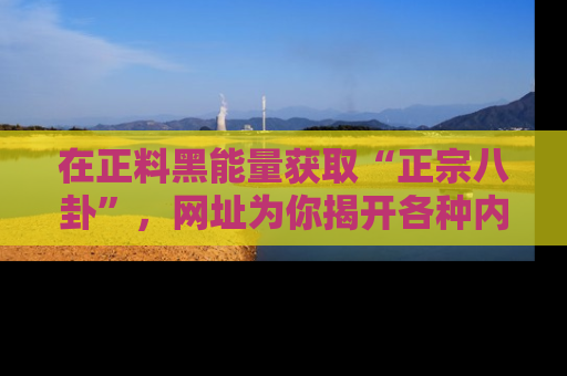 在正料黑能量获取“正宗八卦”，网址为你揭开各种内幕故事！